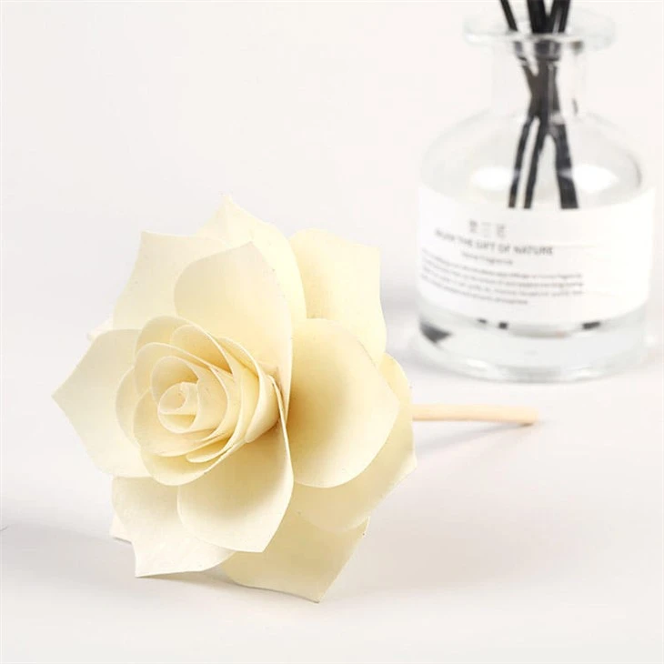 Sola Flowers
